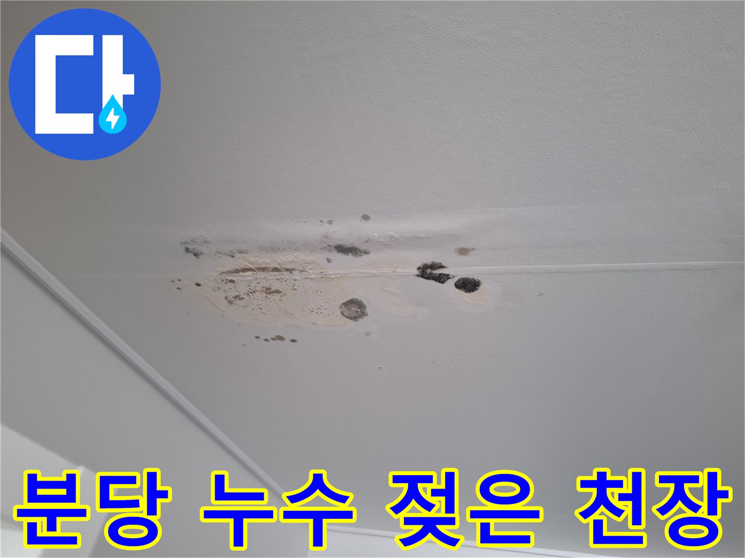 젖은 천장 - 누수 진행 중, 빠른 진단이 필수