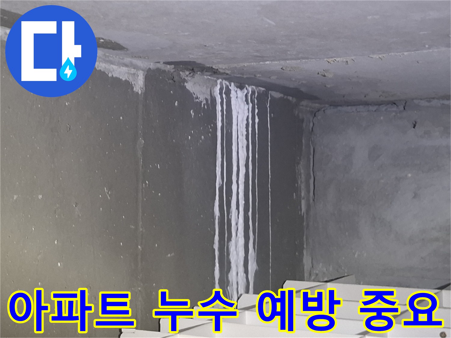 분당-성남 아파트 누수 예방 및 정기 점검 솔루션