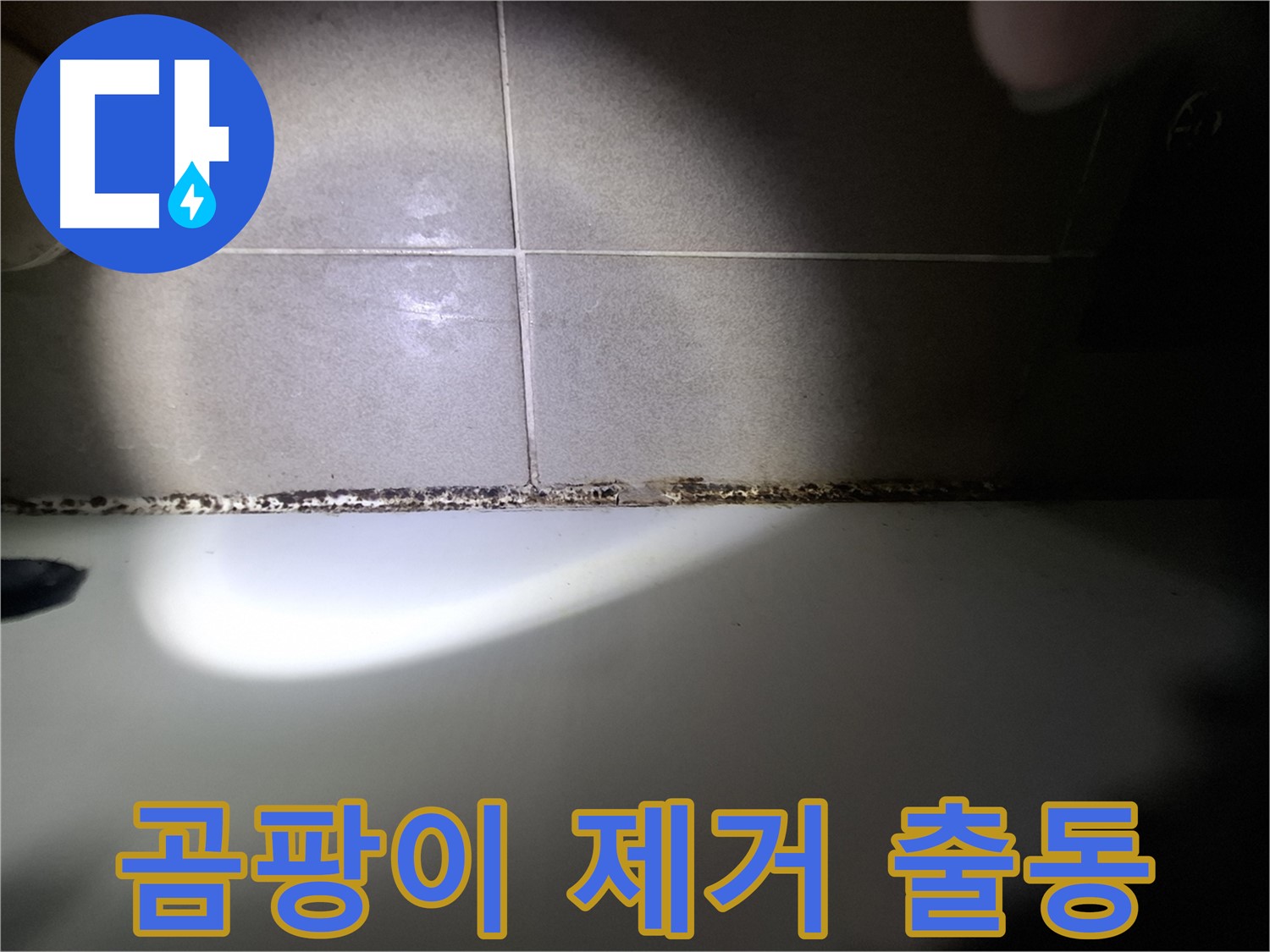 욕조 실리콘 곰팡이 - 긴급 곰팡이 제거 출동 서비스