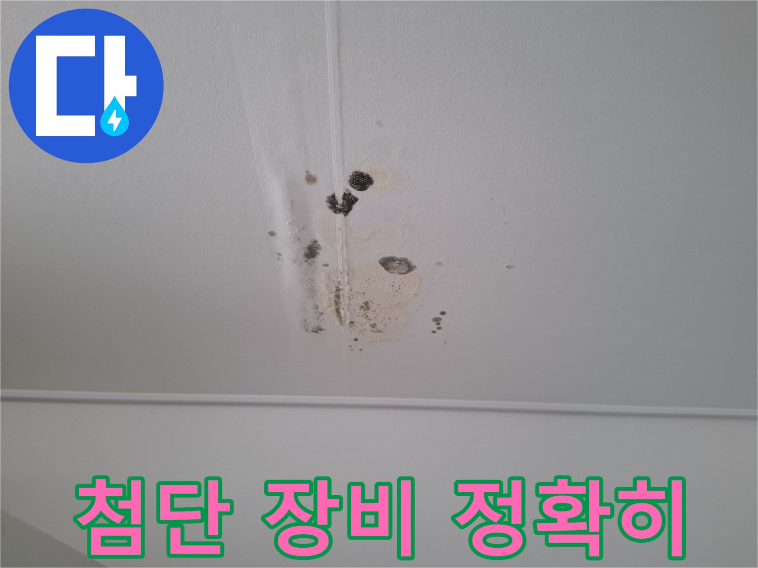 판교 봇들마을 2단지 아파트 - 첨단 장비를 사용하여 숨겨진 누수 지점까지 정확하게 찾아냅니다.