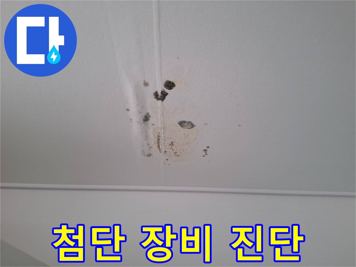 판교 봇들마을 2단지 아파트 - 첨단 장비를 사용하여 정확하게 진단하고, 확실하게 누수 문제를 해결합니다.