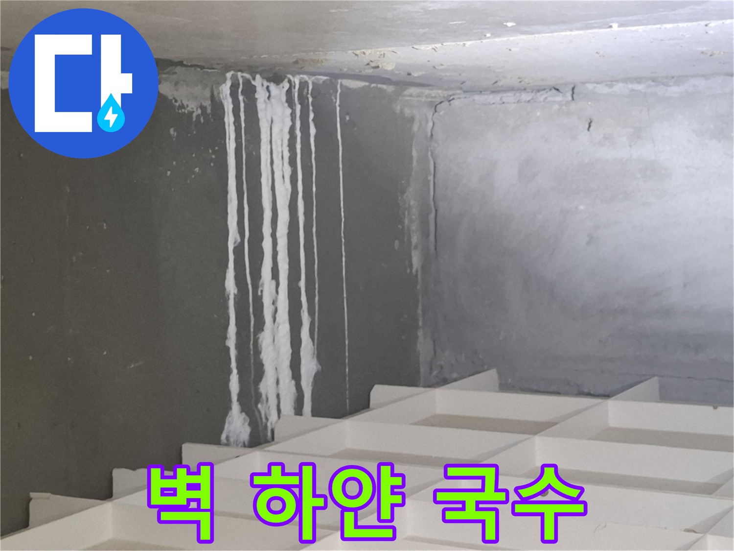 판교 봇들마을 누수 - 벽에 맺힌 하얀 국수 가닥, 누수 가능성 긴급 진단 및 해결