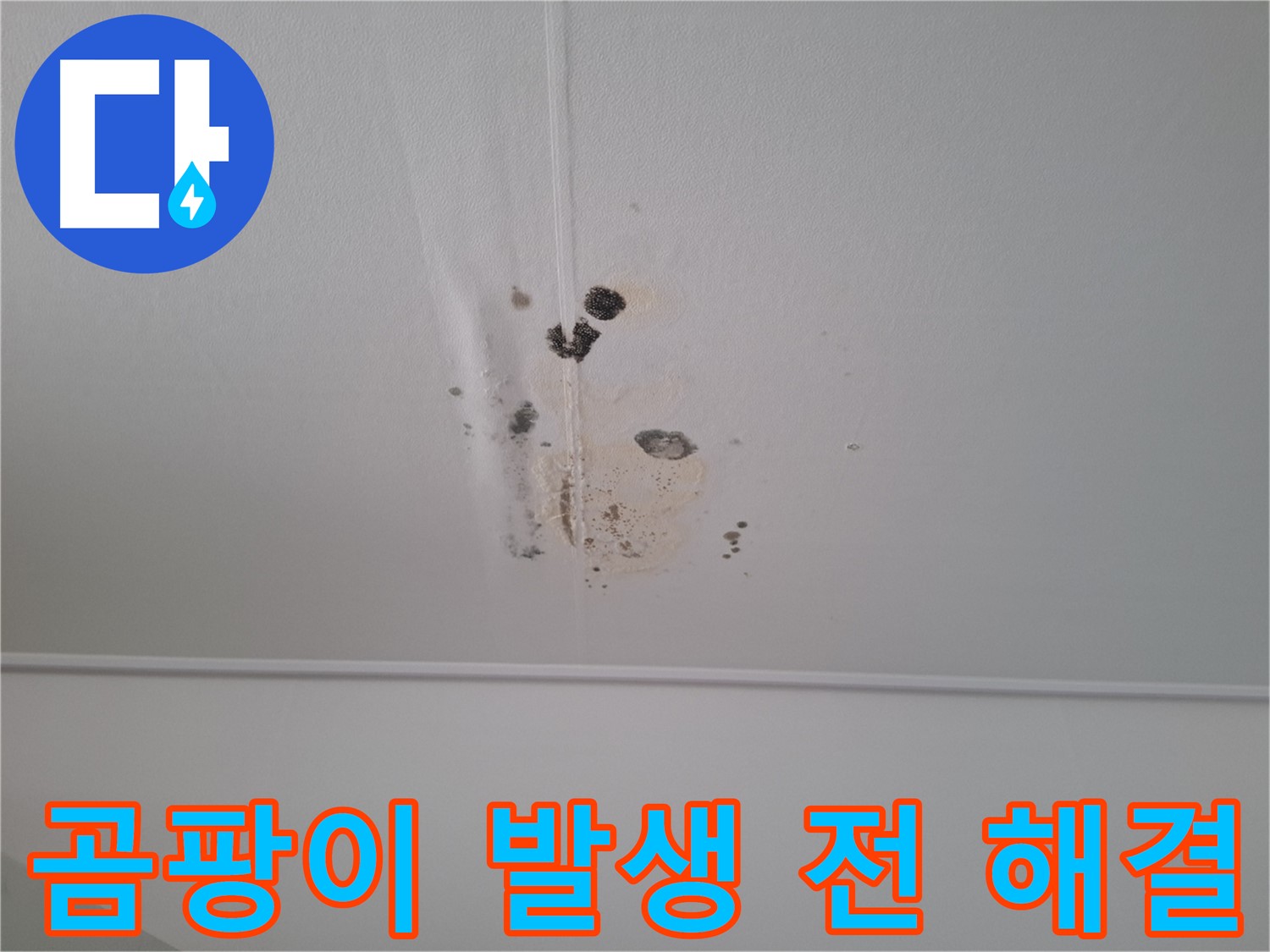판교 봇들마을 아파트 - 곰팡이 발생 전 누수 해결이 중요합니다.