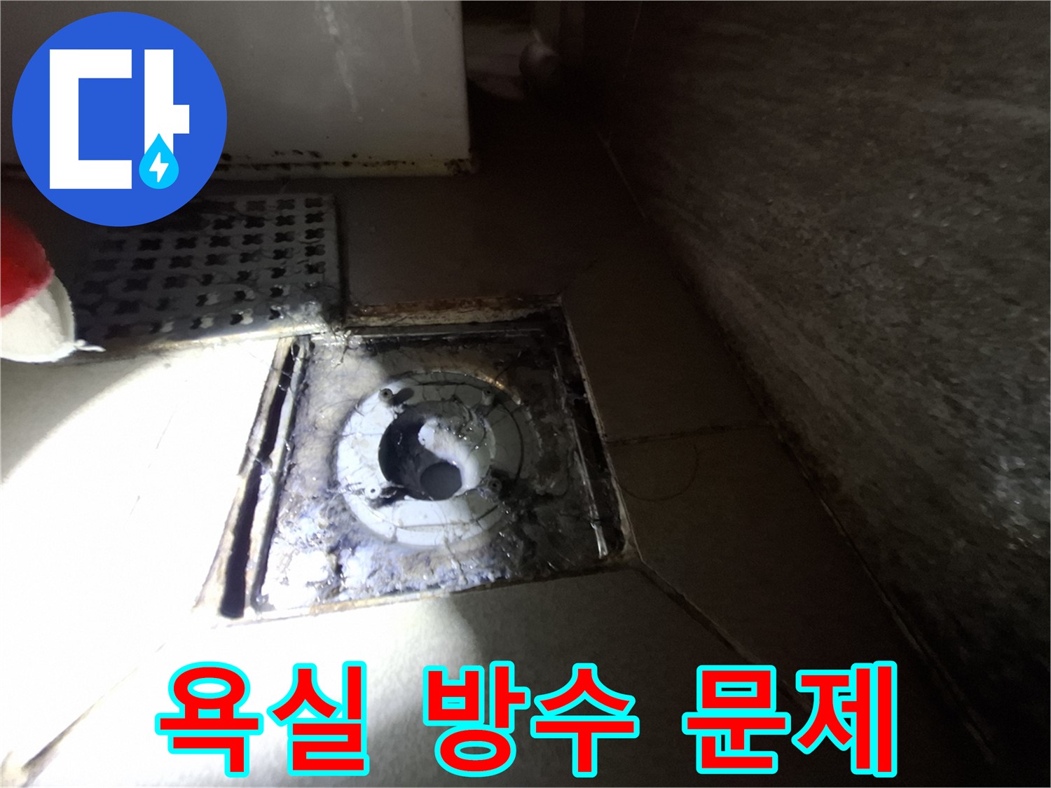 판교 봇들마을 욕실 방수 문제 - 완벽한 방수 시공으로 누수 걱정 끝!