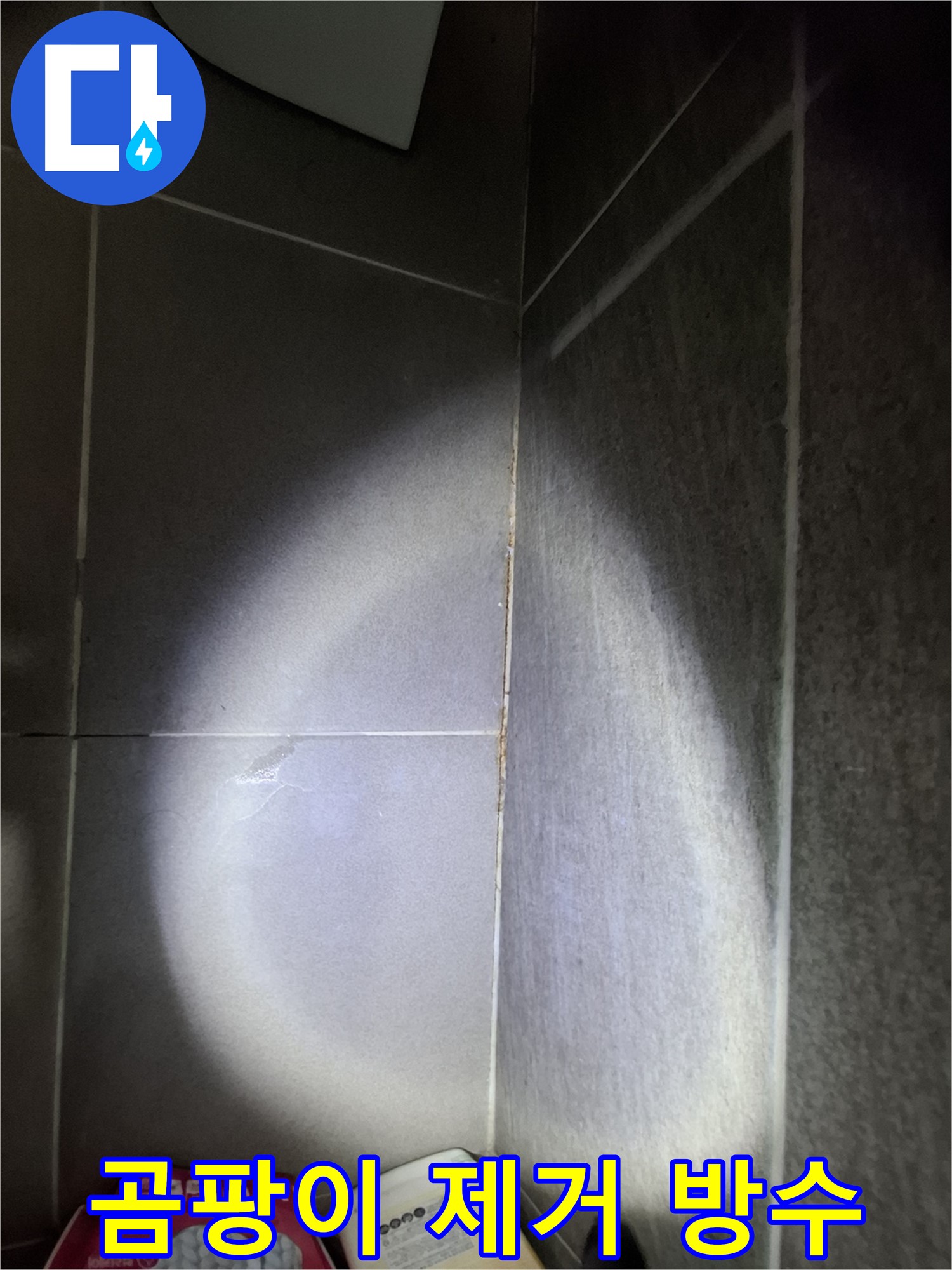 판교 봇들마을 욕실 타일 틈새 누수 - 곰팡이 제거부터 방수 시공까지 한 번에 해결