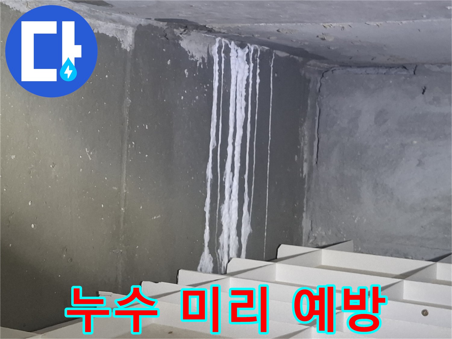 판교 봇들마을2단지 누수 - 미리미리 점검하여 누수 예방!