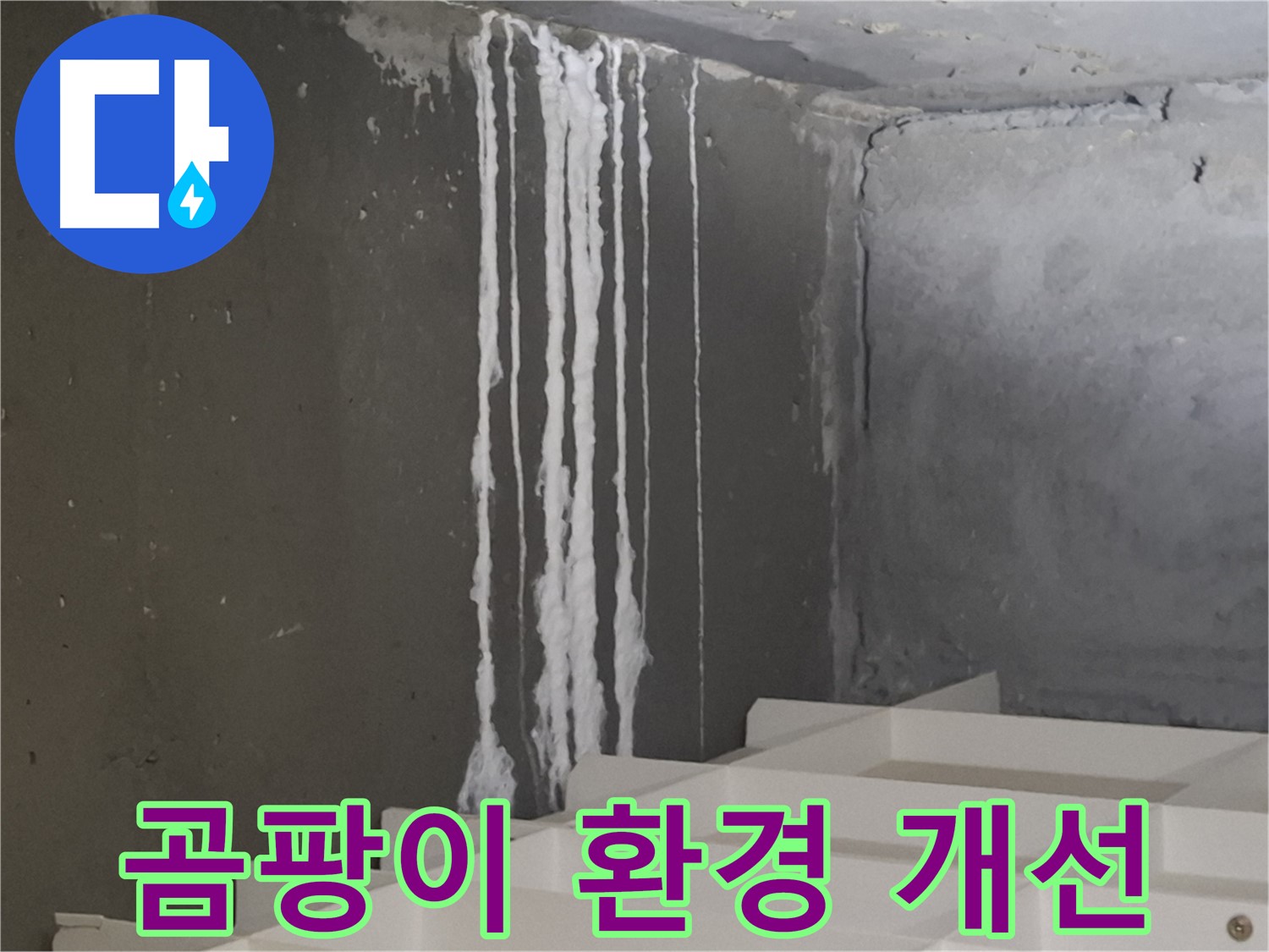 판교 삼평동 봇들마을 아파트 - 계단 '하얀 곰팡이' 누수, 쾌적한 환경을 되찾기 위한 해결 과정을 담은 이미지.