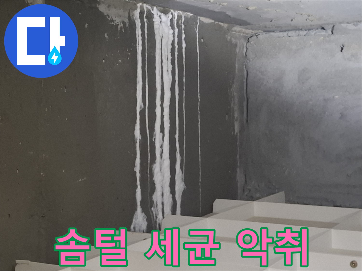 판교 삼평동 봇들마을 아파트 - 계단 '하얀 솜털' 누수, 세균 번식과 악취 유발의 원인이 될 수 있습니다.