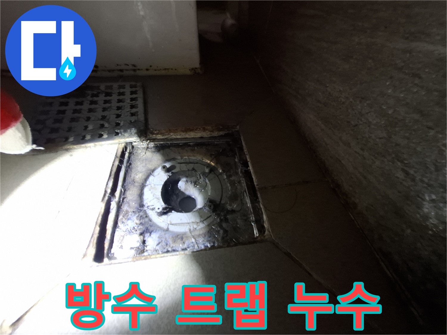 판교 삼평동 봇들마을 욕실 방수층 크랙 - 누수 진단, 트랩 불량과 함께 정밀하게