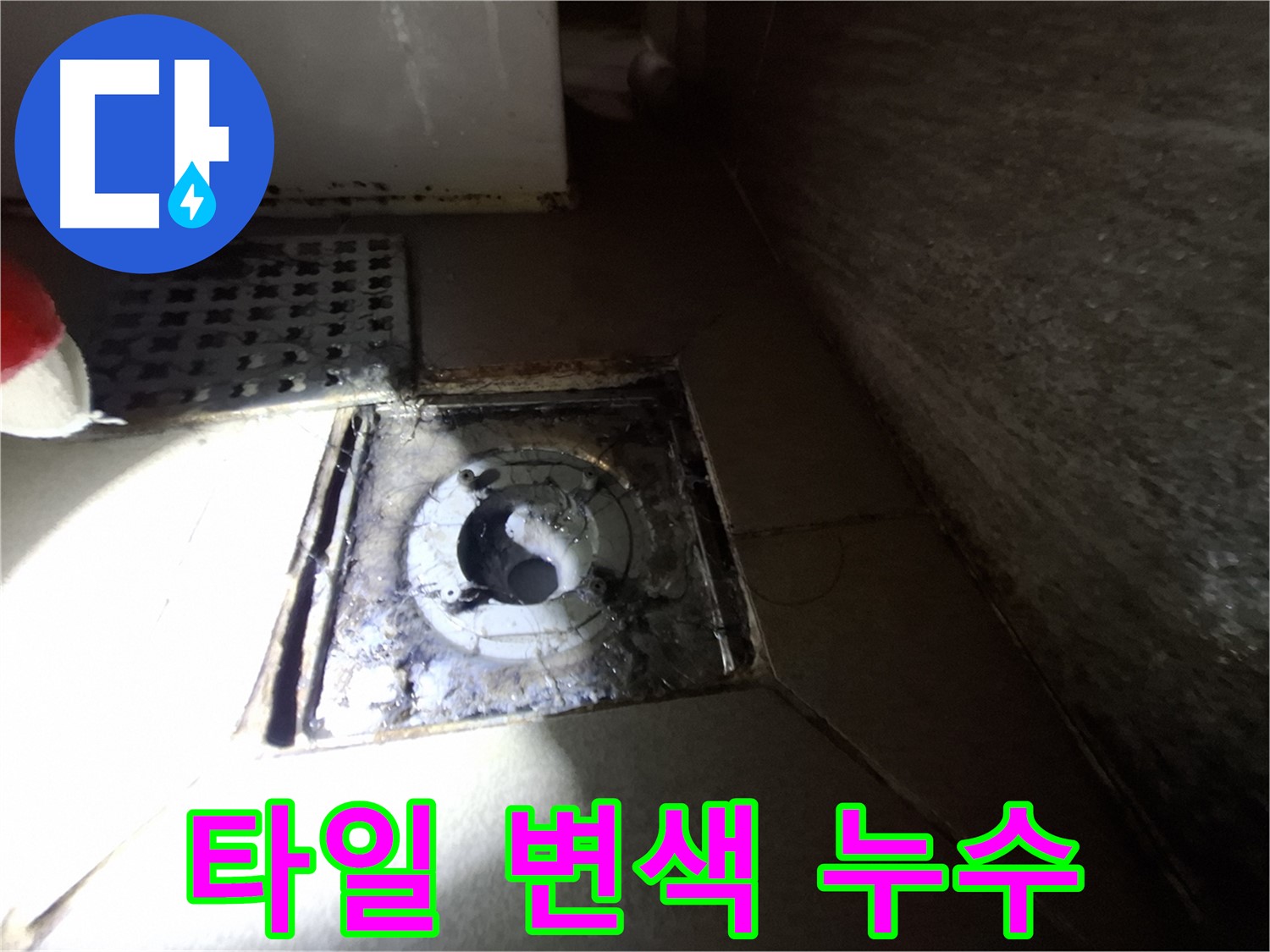 판교 삼평동 봇들마을 욕실 타일 변색 - 누수 가능성 진단, 꼼꼼하게 확인해야 합니다