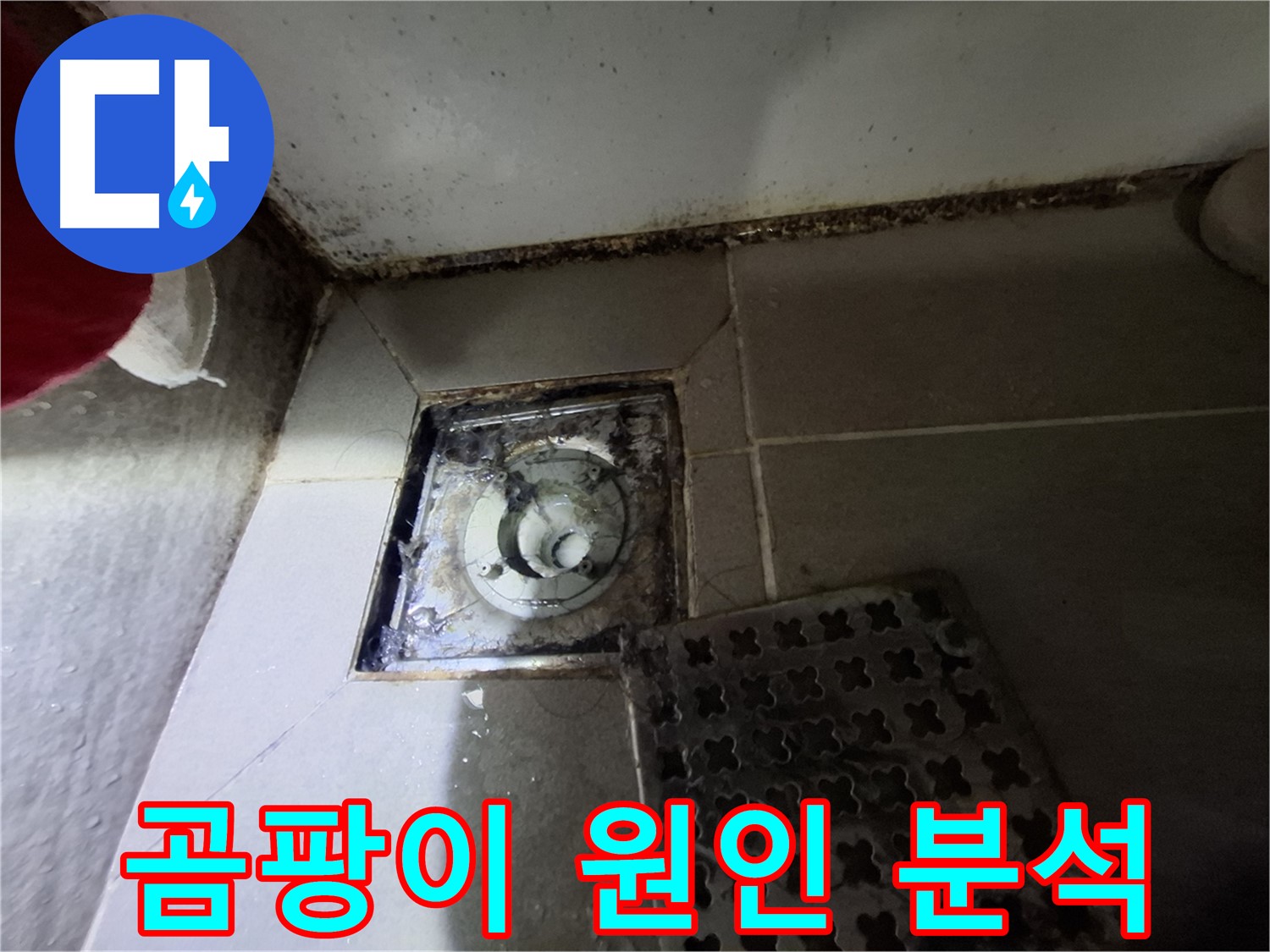판교 삼평동 봇들마을2단지 아파트 - 곰팡이 발생 원인 분석