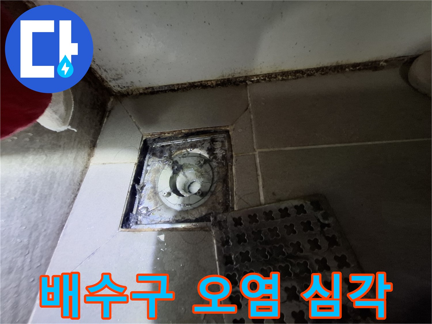 판교 삼평동 봇들마을2단지 욕실 - 배수구 오염 심각, 누수 의심