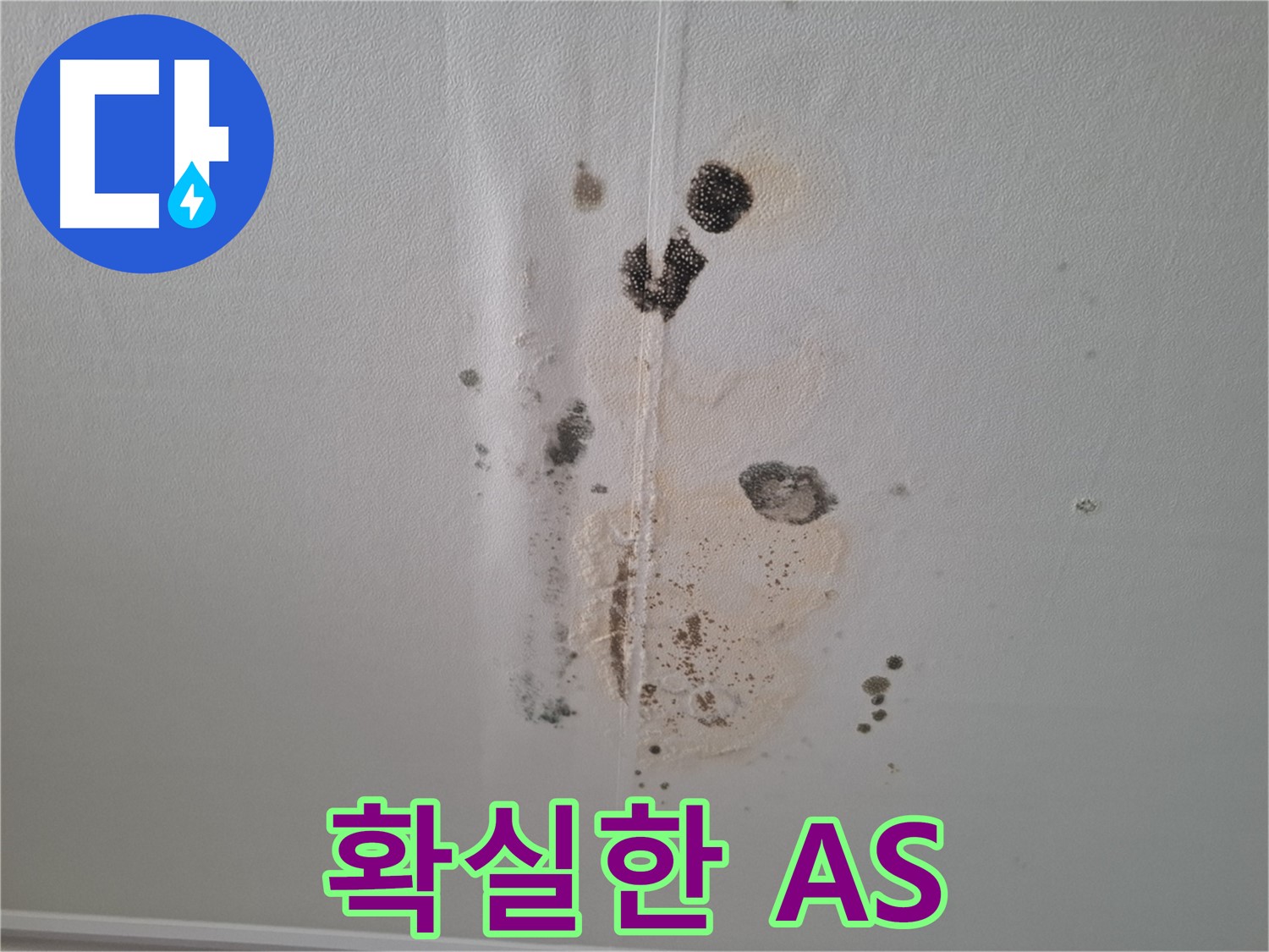 판교 삼평동 봇들마을2단지이지더원 누수 - 누수 해결, 확실한 A/S 보장 약속
