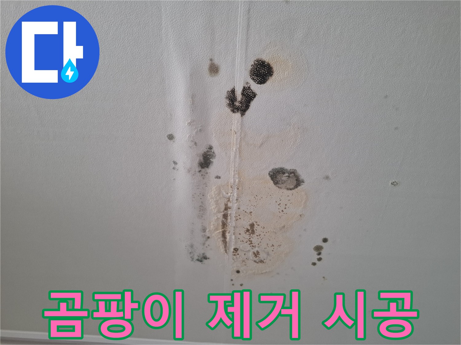 판교 삼평동 아파트 누수 - 206동 누수 해결 후 곰팡이 제거 시공