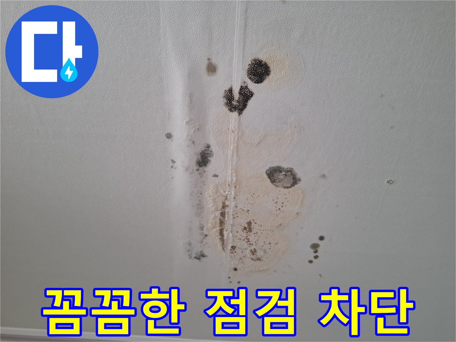 판교 아파트 누수 - 꼼꼼한 점검으로 곰팡이 발생 완벽 차단
