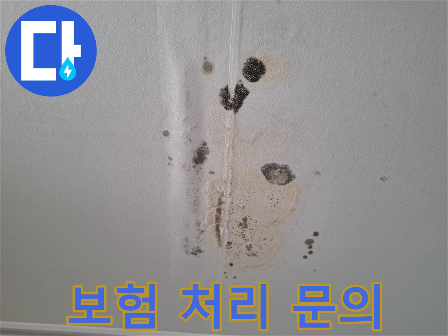 판교 아파트 누수 - 누수 보험 처리 가능 여부 상담