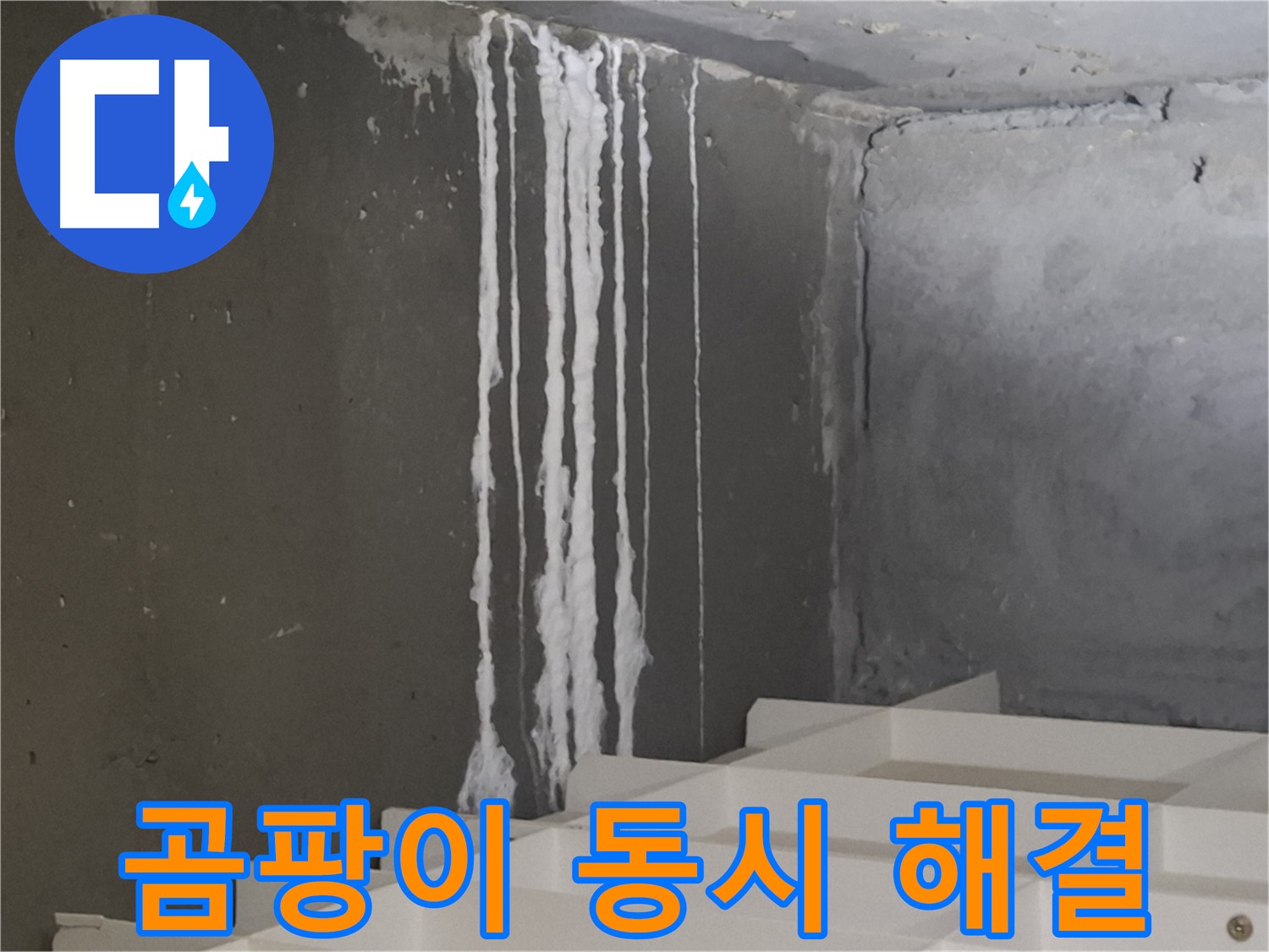 판교 아파트 누수 - 백화현상과 곰팡이 동시 해결! 누수 문제와 곰팡이 걱정을 한 번에 해결하세요.
