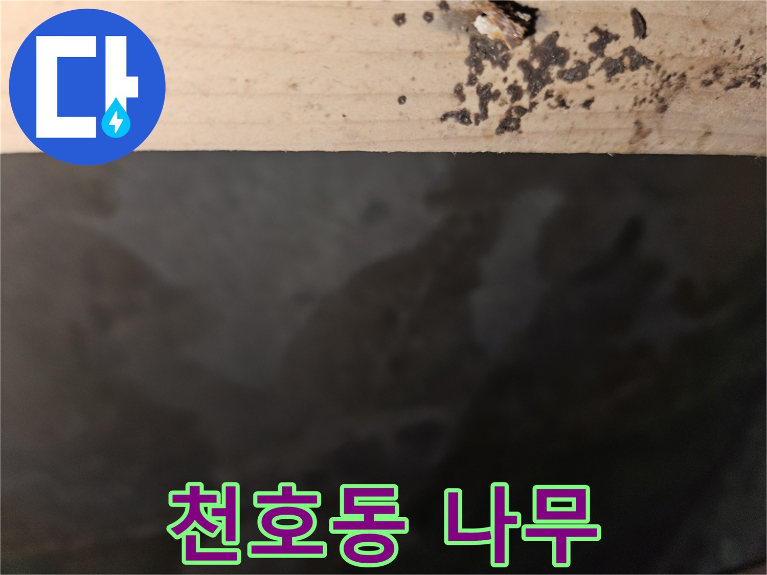 강동구 천호동 누수 - 나무 깊숙한 곳 곰팡이 - 위험