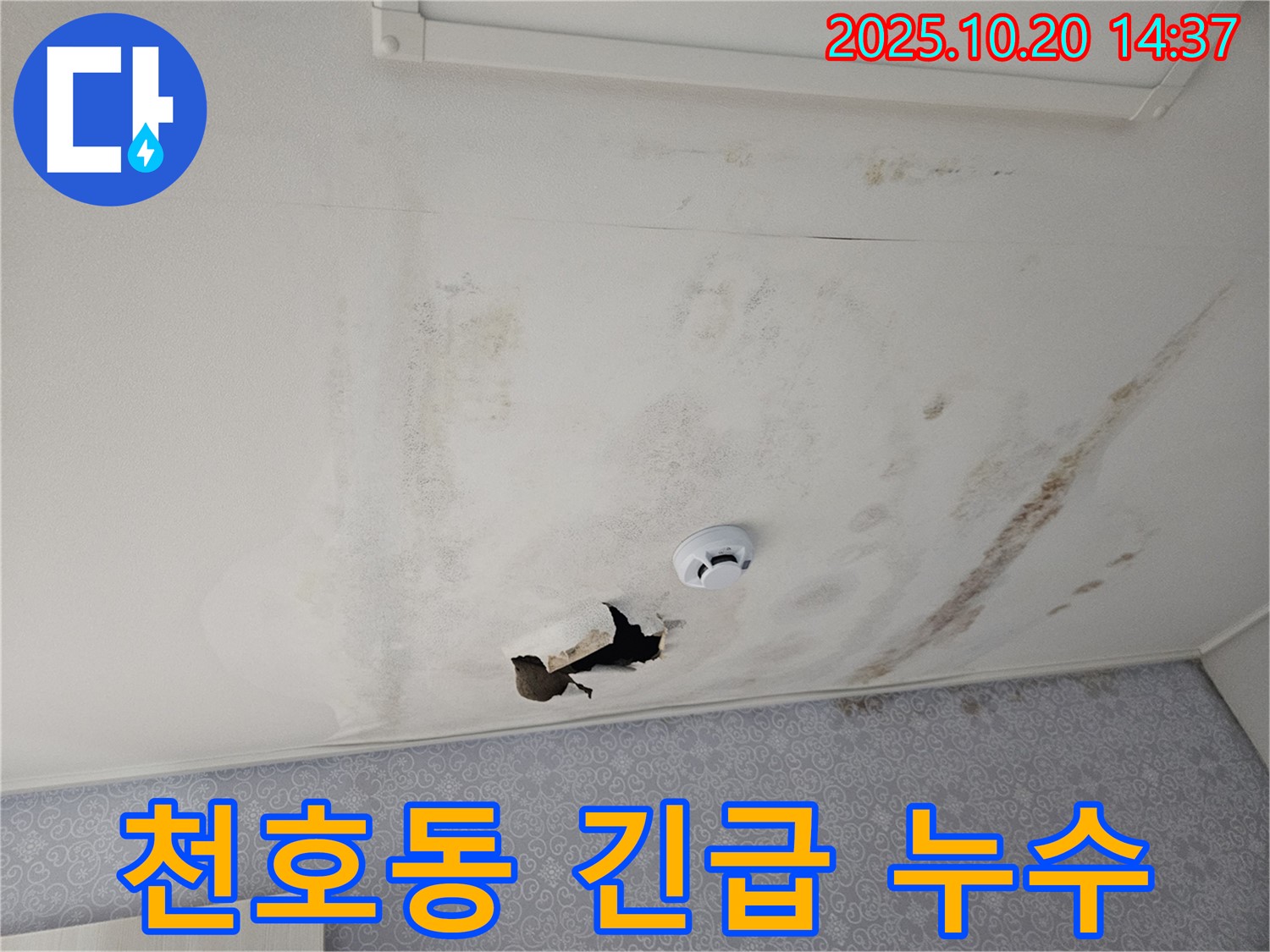 강동구 천호동 아파트 천장 누수 - 긴급 누수, 신속한 진단
