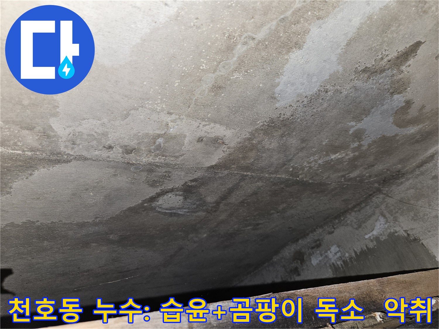 강동구 천호동 콘크리트 누수 - 습윤, 곰팡이 독소/악취는 심각한 오염