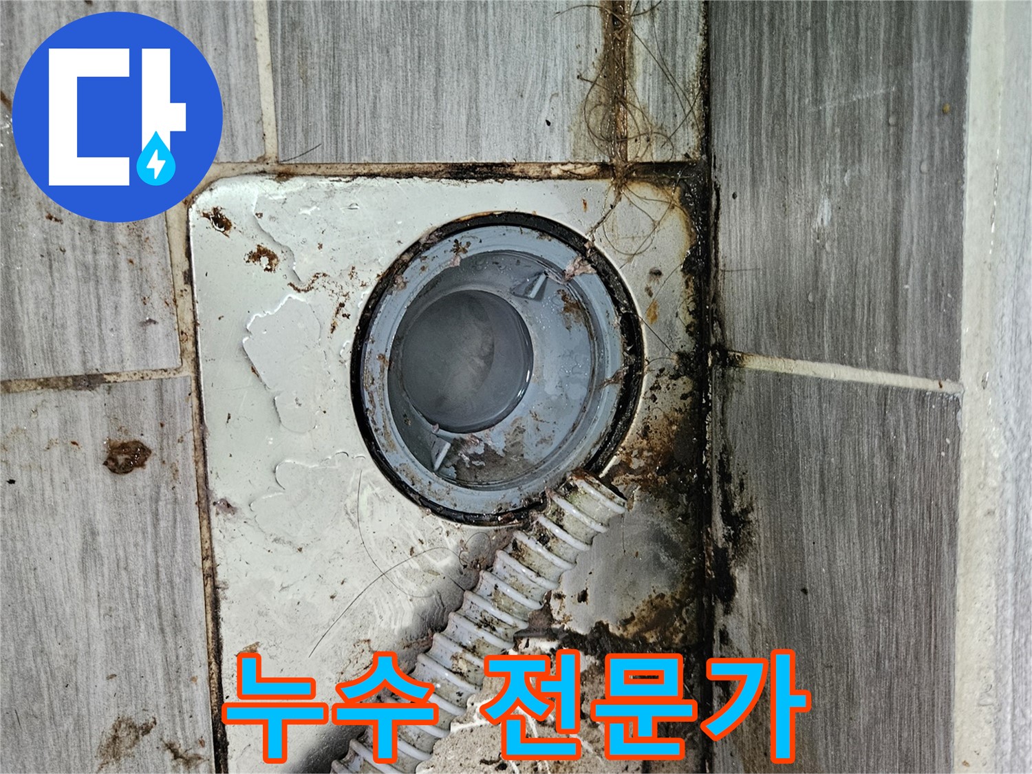 누수 문제 해결 전문가 - 숙련된 기술과 노하우로 누수 문제 해결