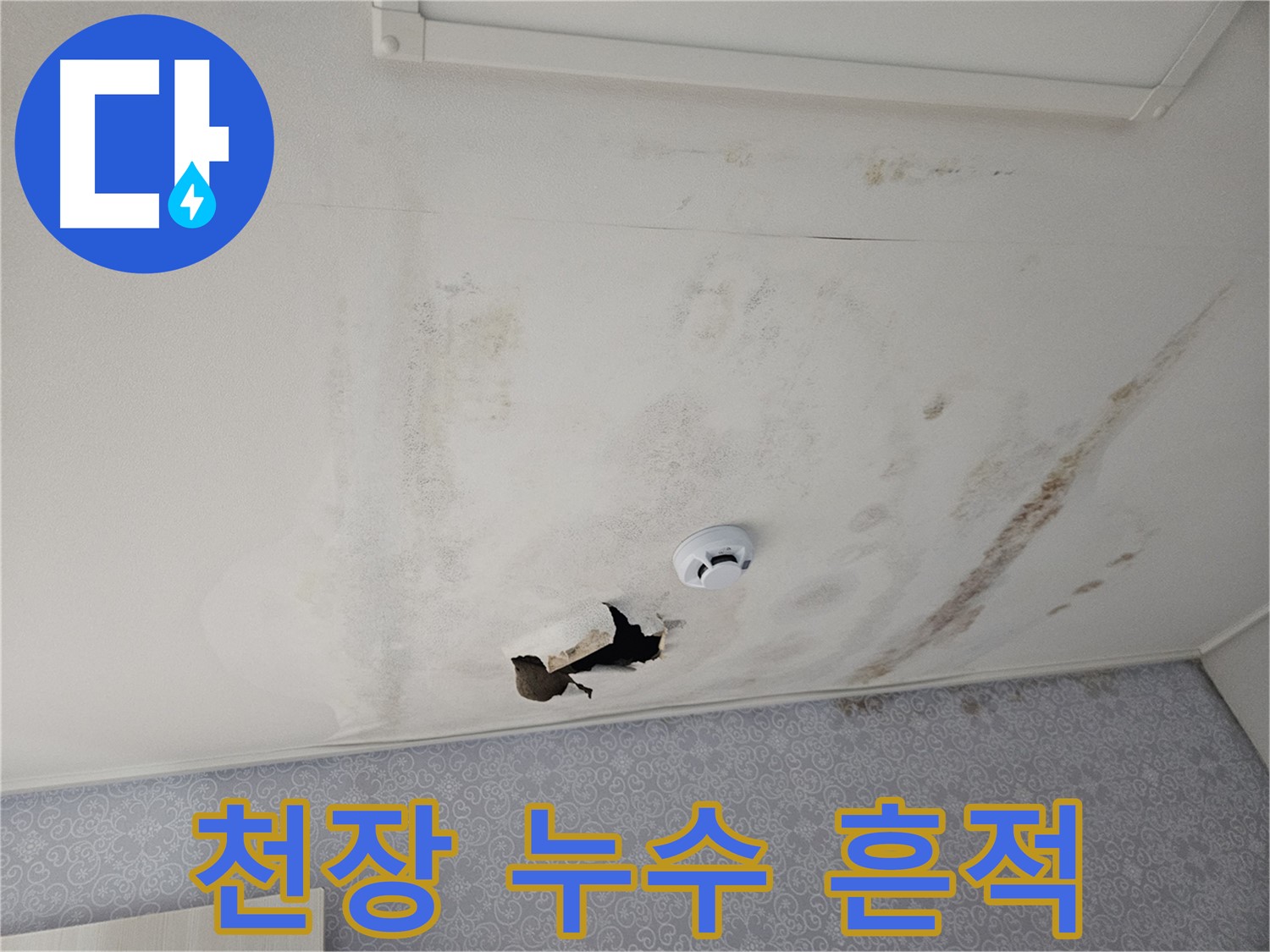 천호동 강동리버스타운 아파트 천장 누수 - 천장에 물이 떨어진 흔적이 선명하게 보이는 사진 - 빠른 점검과 공사가 필요합니다
