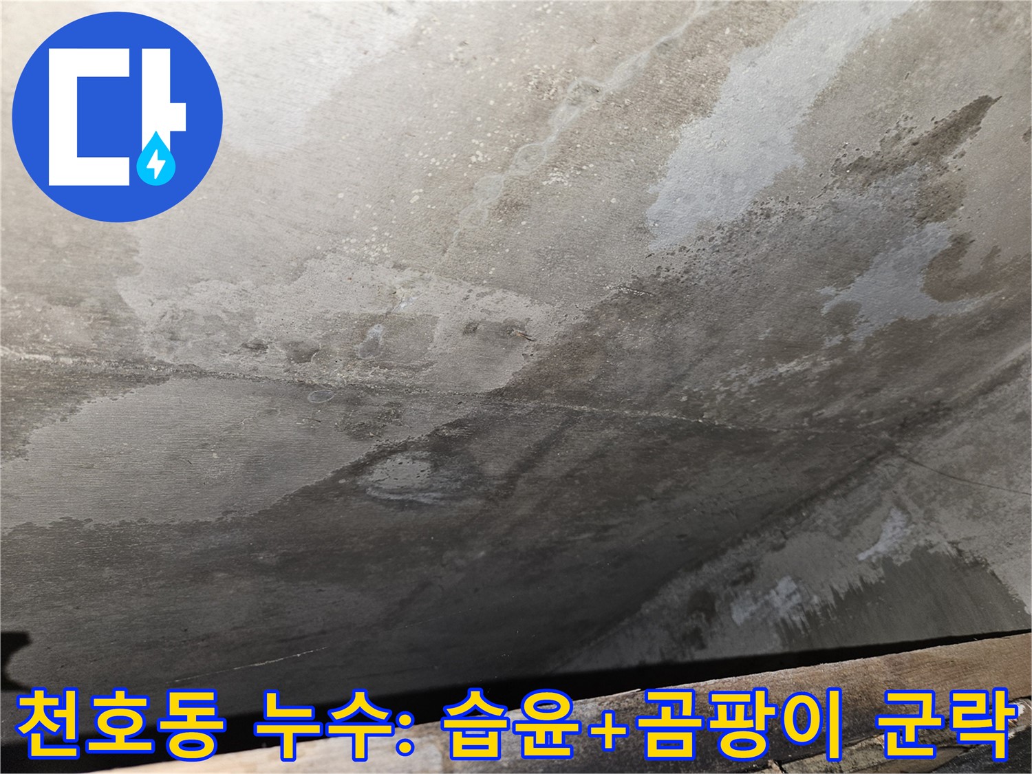 천호동 리버스타운 아파트 누수 - 습윤과 곰팡이 군락은 심각한 누수