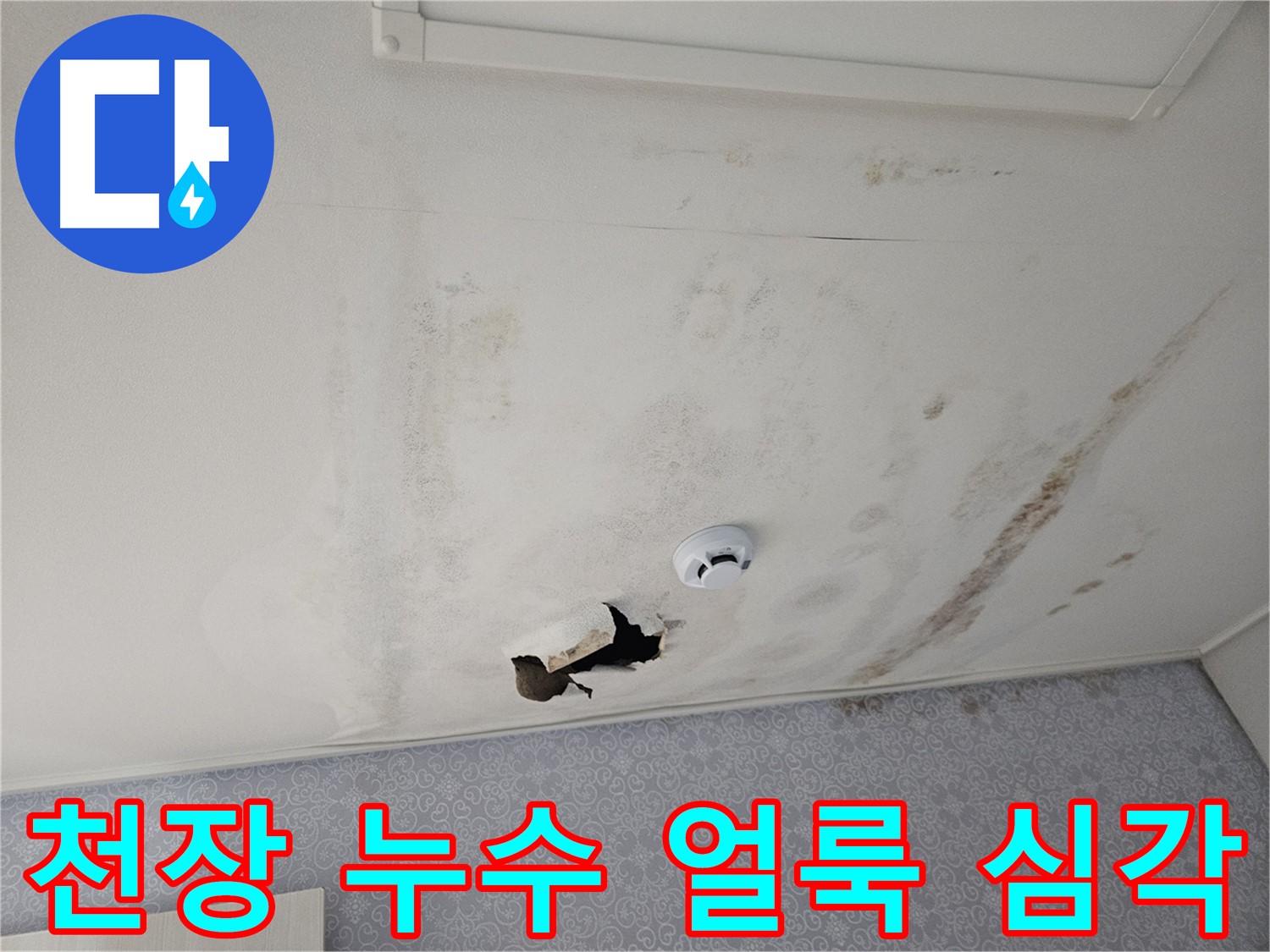 천호동 아파트 천장 누수 - 넓게 퍼진 누수 얼룩은 곰팡이와 악취의 원인이 될 수 있습니다 - 건강을 위해서라도 빠른 해결이 필요합니다