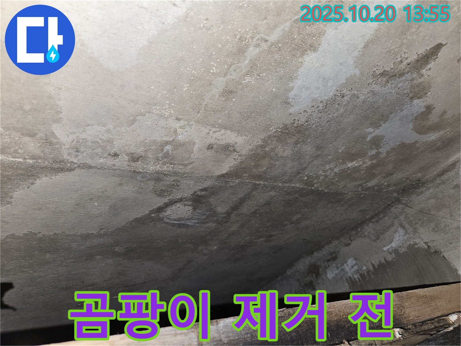 천호동 아파트 콘크리트 천장 누수 - 곰팡이 제거 전 심각한 상태를 보여주는 이미지