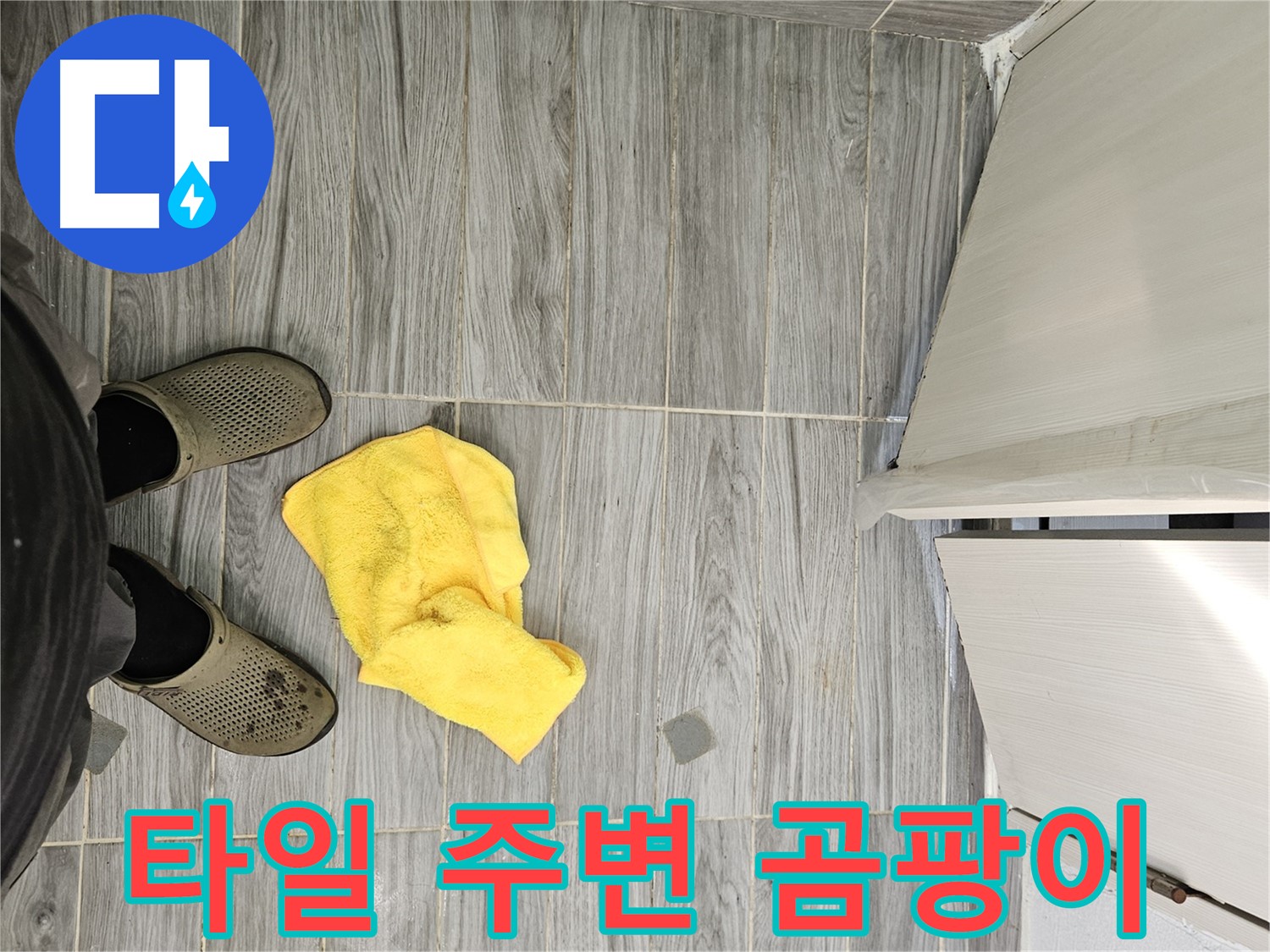 타일 주변에 핀 곰팡이 - 누수를 의심하고 전문가의 도움을 받아야 합니다.