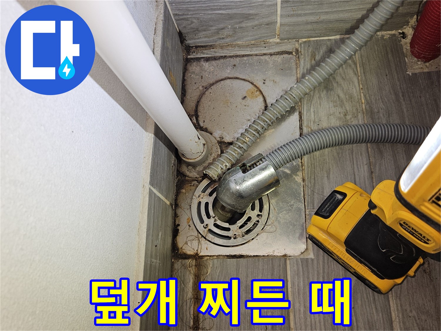 하수구 덮개 주변 찌든 때와 곰팡이 - 청결 불량