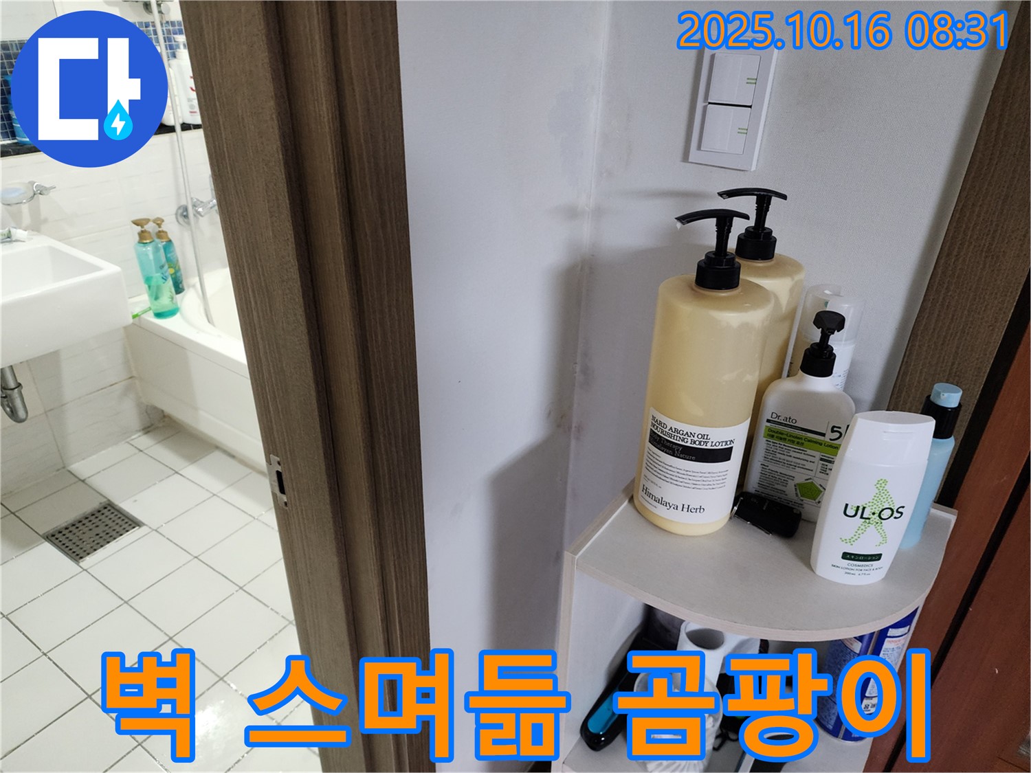 양주 남면 경신리 욕실 누수 - 벽 물 스며듦과 곰팡이, 습기 문제