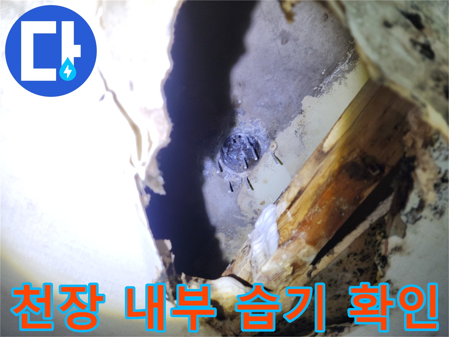 천장 절개 부위의 젖은 마감재와 배관 - 누수 지점 조사
