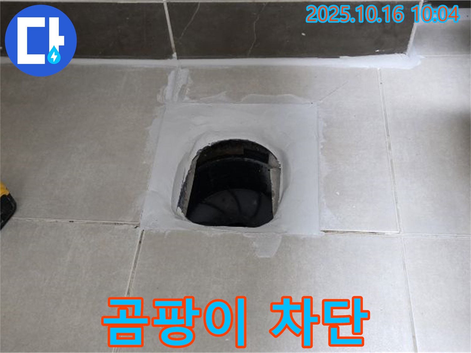 양주 옥정 율정마을 욕실 하수구 주변 곰팡이 심각한 발생 - 누수 원인 차단으로 곰팡이 문제 해결