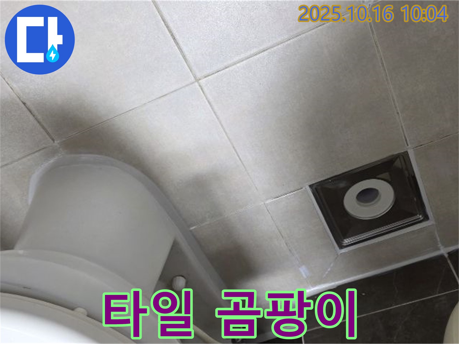 옥정동 율정마을 화장실 누수 - 변기 주변 타일 틈새에 곰팡이가 발생하여 누수 의심