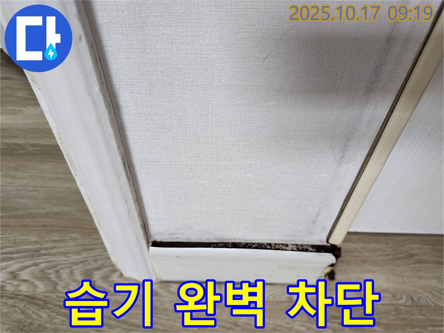 벽 하단 곰팡이 제거 후 완벽 습기 차단 - 곰팡이 없는 깨끗한 공간을 약속드립니다.