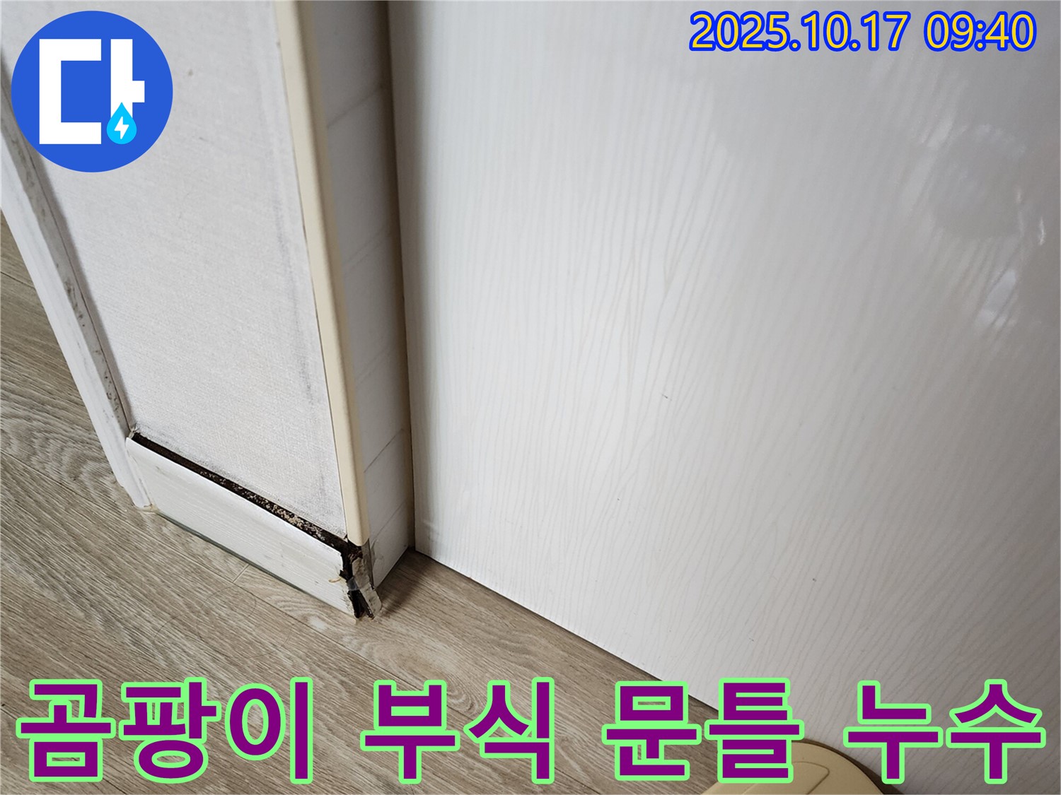양주 남면 누수 현장 - 곰팡이와 부식된 문틀, 완벽하게 해결하는 전문적인 작업