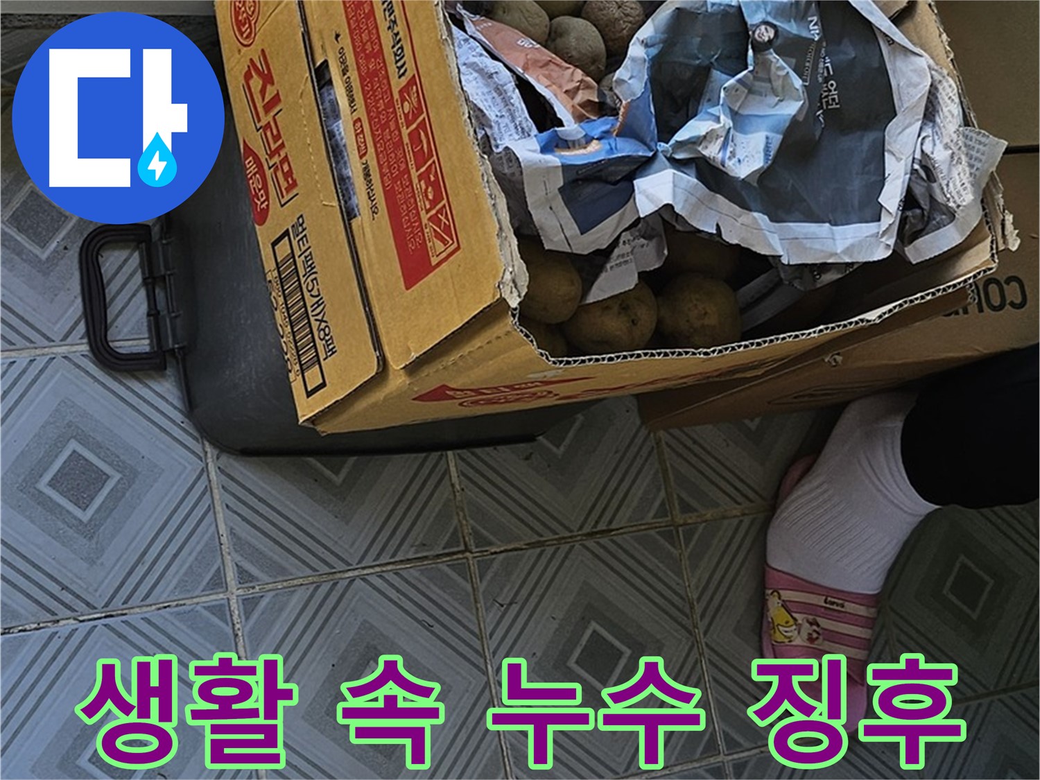 신월동 누수 현장, 감자 박스와 슬리퍼 - 생활 속에서 발견되는 누수 징후들을 꼼꼼히 살펴보고 있습니다.