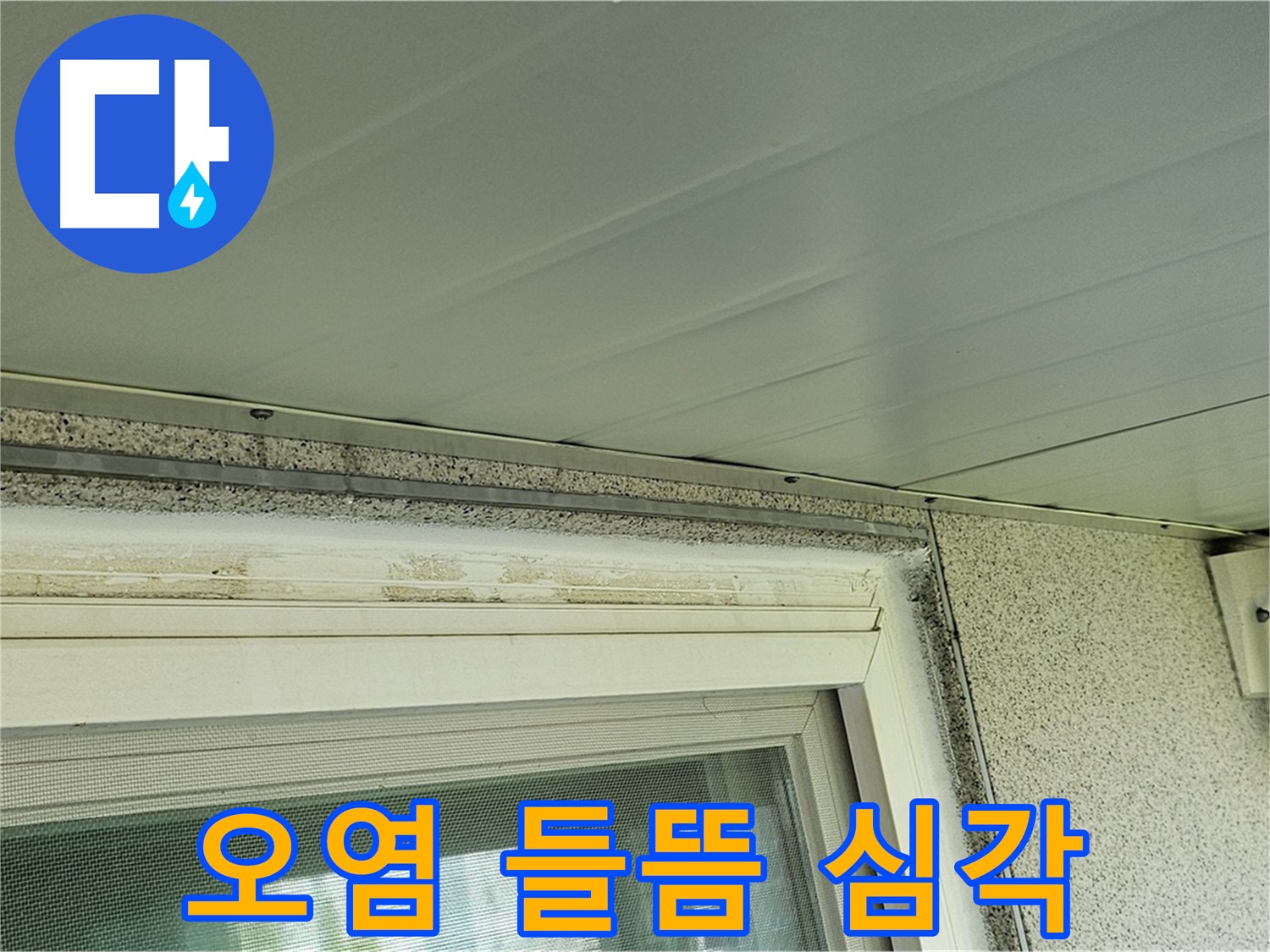 신월동 빗물 누수 현장 - 양천구 누수탐지 전문가가 창틀 주변 오염 및 백시멘트 들뜸 상태를 확인하는 모습입니다.