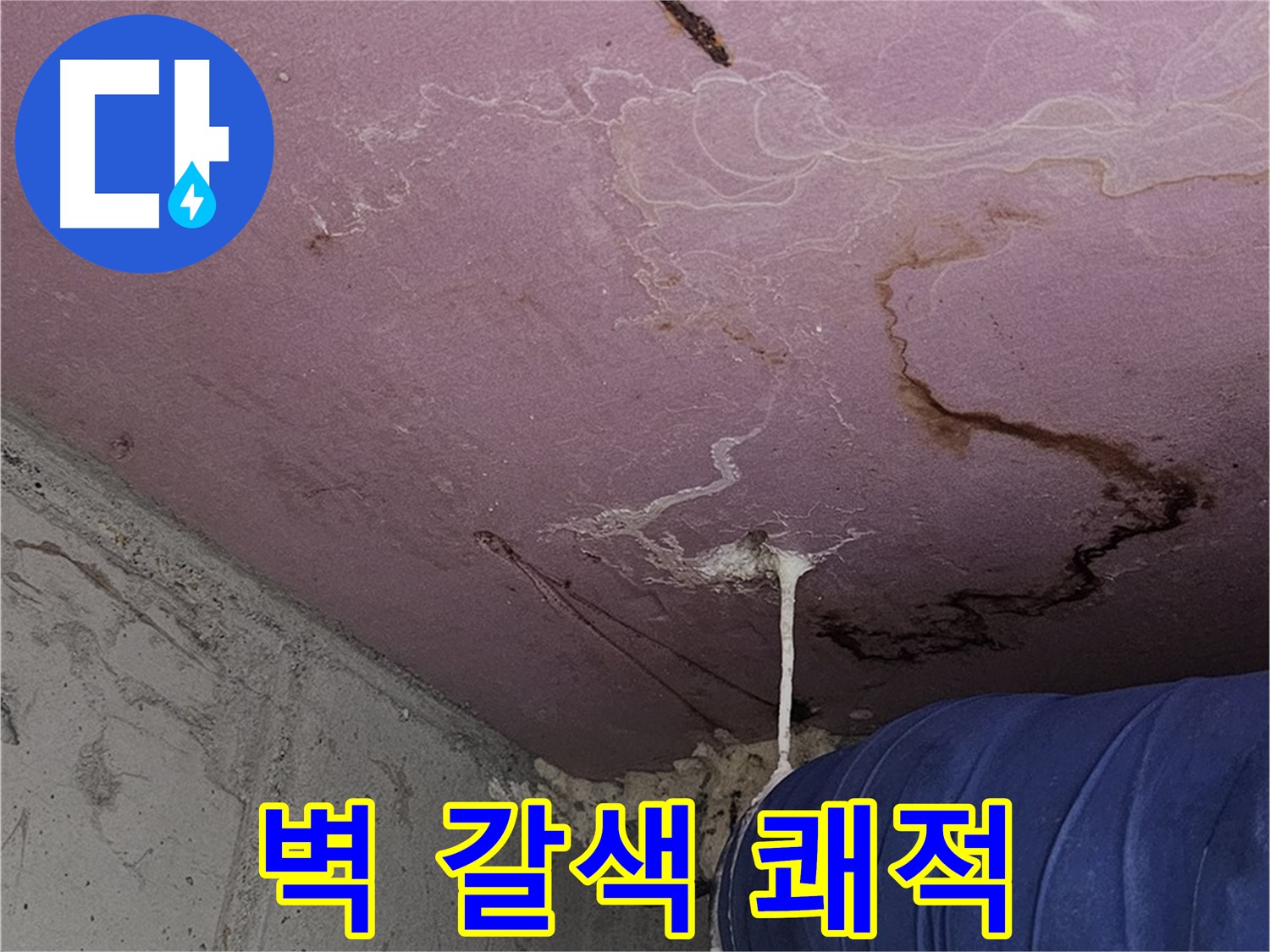 신월동 양천구 누수 - 벽 갈색 얼룩 - 쾌적하고 안전한 공간 유지