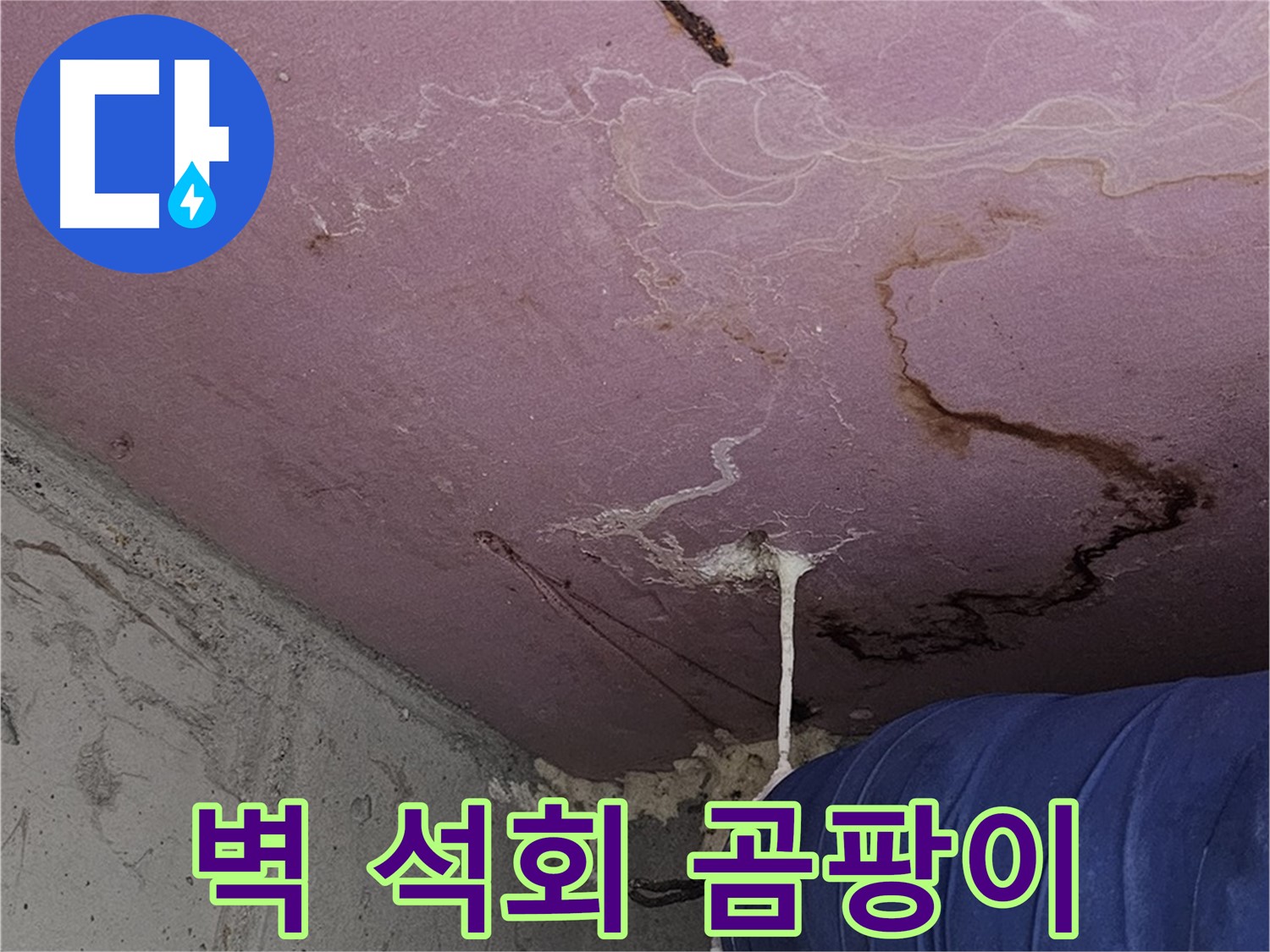 신월동 양천구 누수 - 벽 석회수, 곰팡이 - 완벽 해결