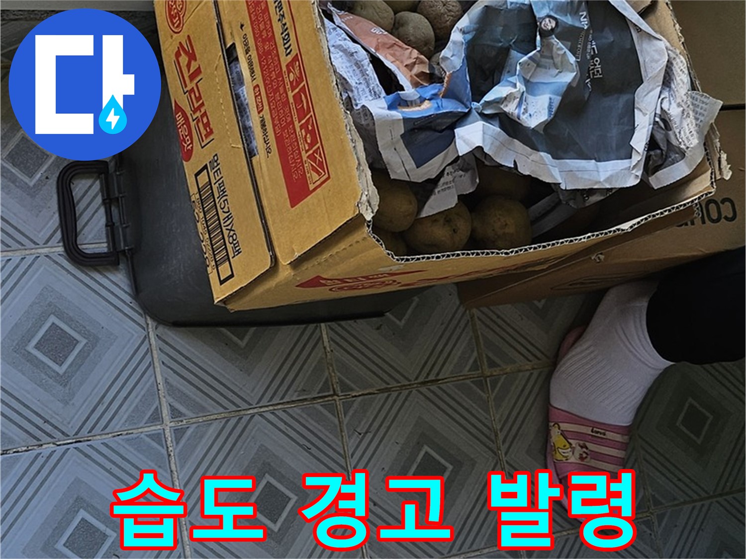 신월동 엘리시안 누수 현장 - 감자 박스 주변 습도 증가는 누수 위험 경고입니다 - 즉시 전문가에게 문의하세요.