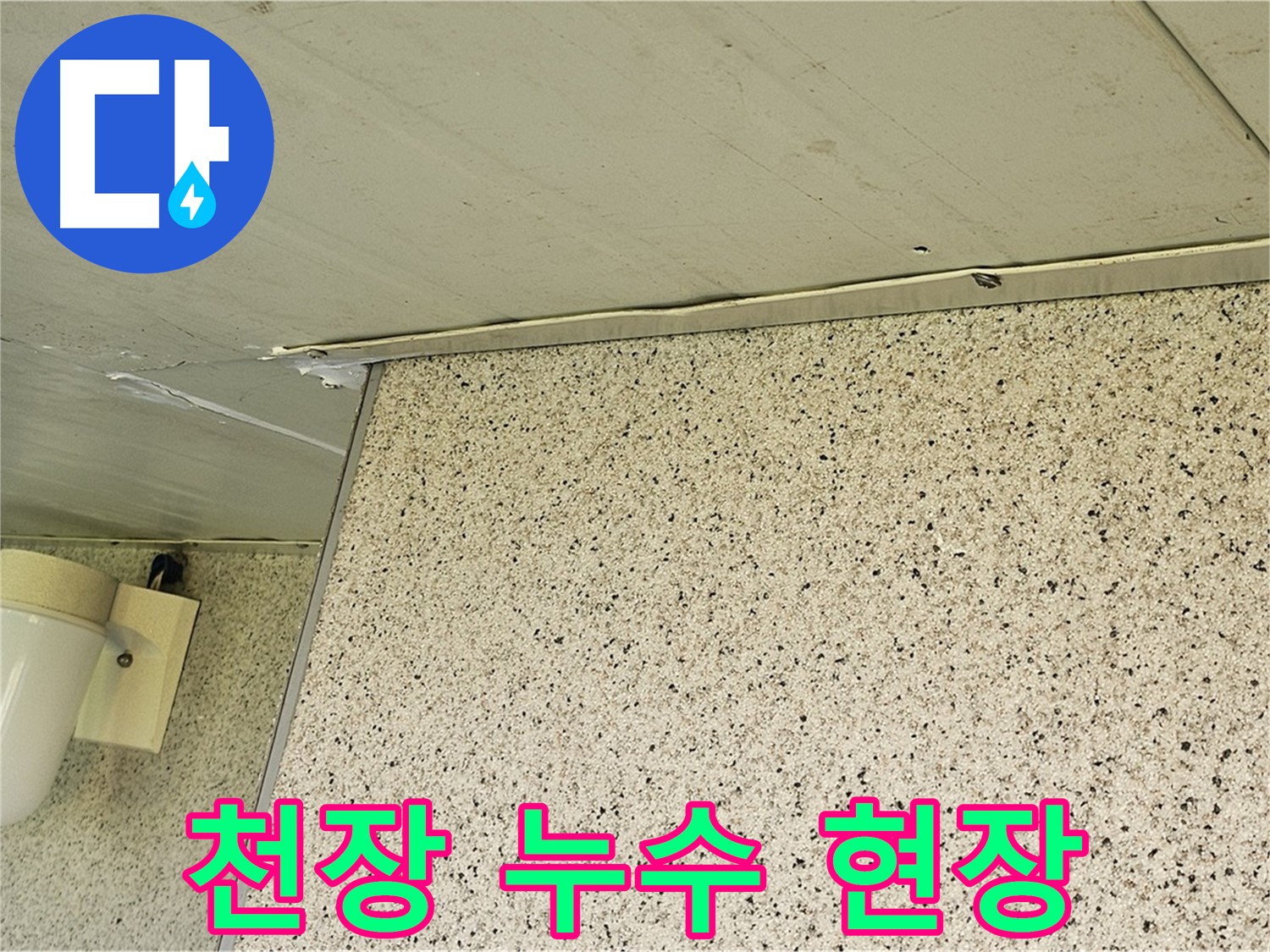 신월동 엘리시안 아파트 천장 누수 현장 - 양천구 누수탐지 전문 업체의 해결 과정
