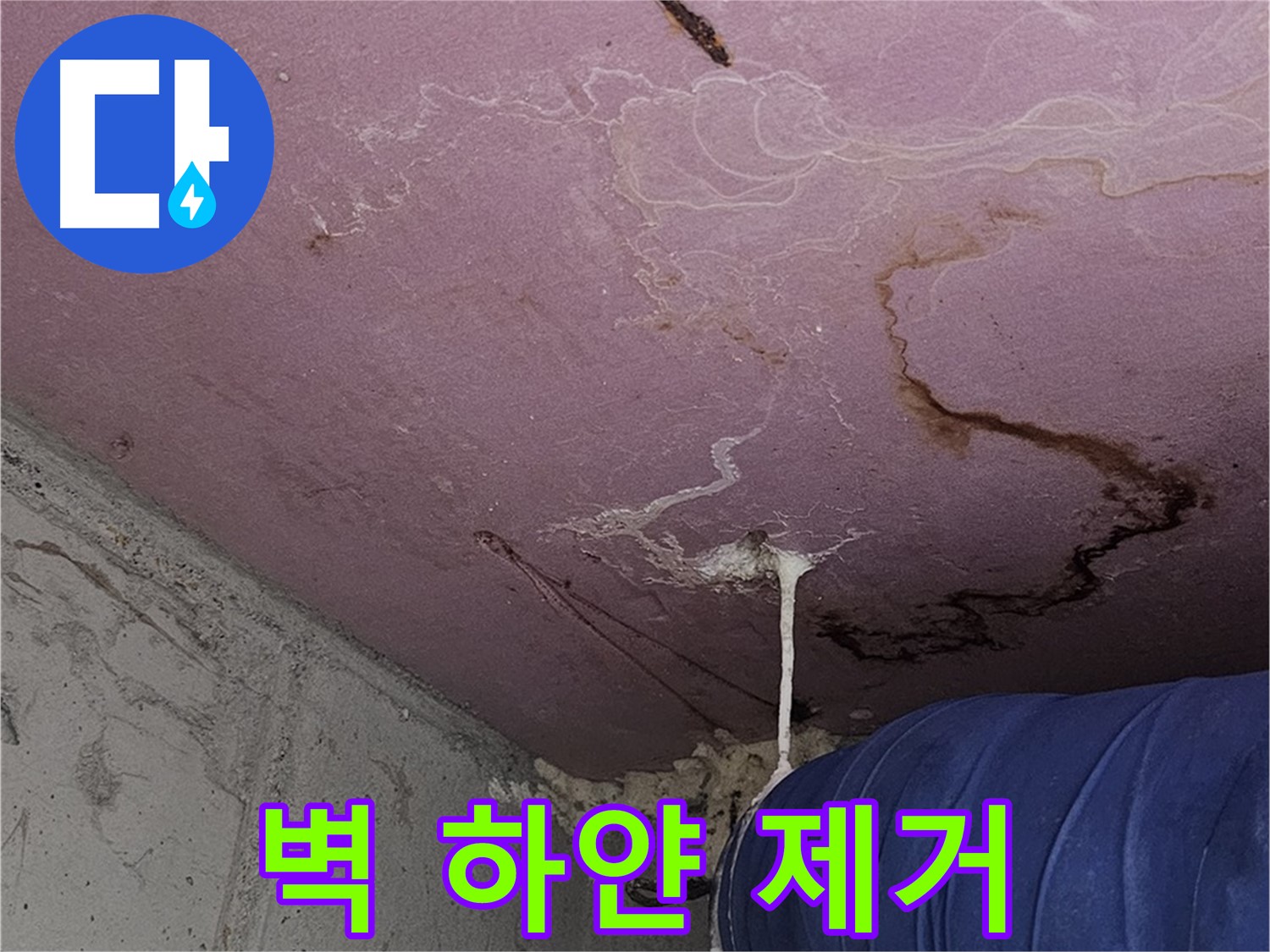 양천구 신월동 누수 - 벽 하얀 솜털 - 곰팡이 제거 및 향균 시공