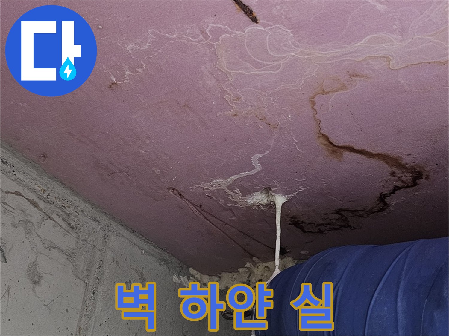 양천구 신월동 누수 - 벽 하얀 실 - 석회 성분 용출