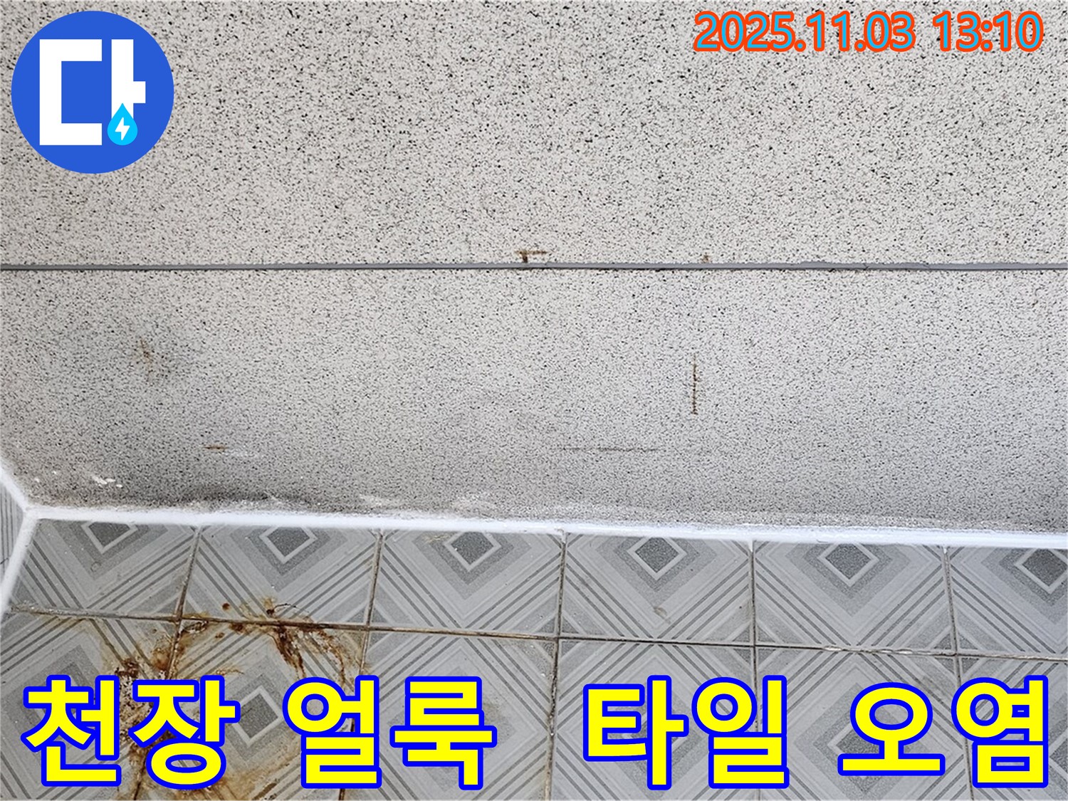 양천구 신월동 누수 현장 - 천장 얼룩과 타일 오염으로 누수 원인 진단 중.