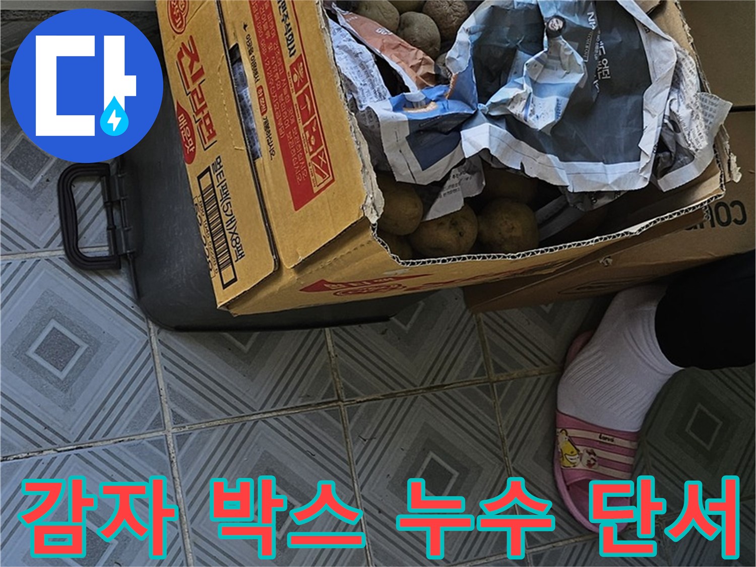 양천구 신월동에서 누수 탐지 중 발견된 감자 박스 - 누수의 원인을 찾는 중요한 단서가 숨어있을지도 모릅니다.