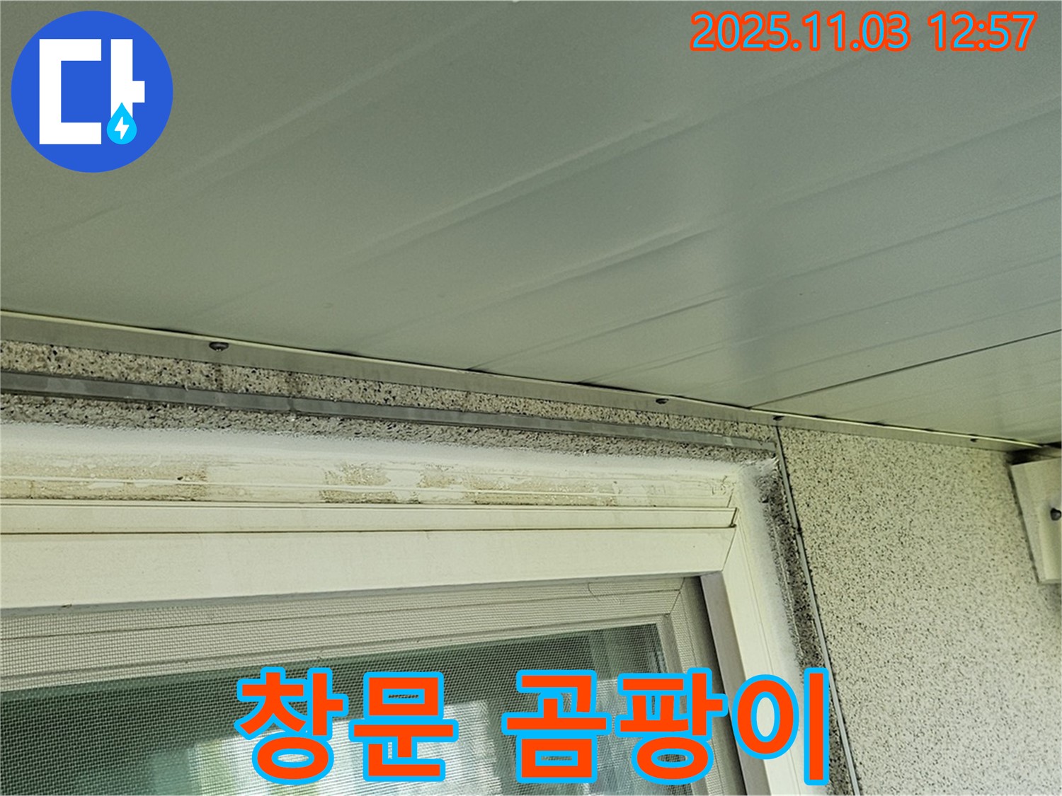 양천구 창문 주변 곰팡이 발생 원인과 해결 - 곰팡이 제거와 누수 방지!