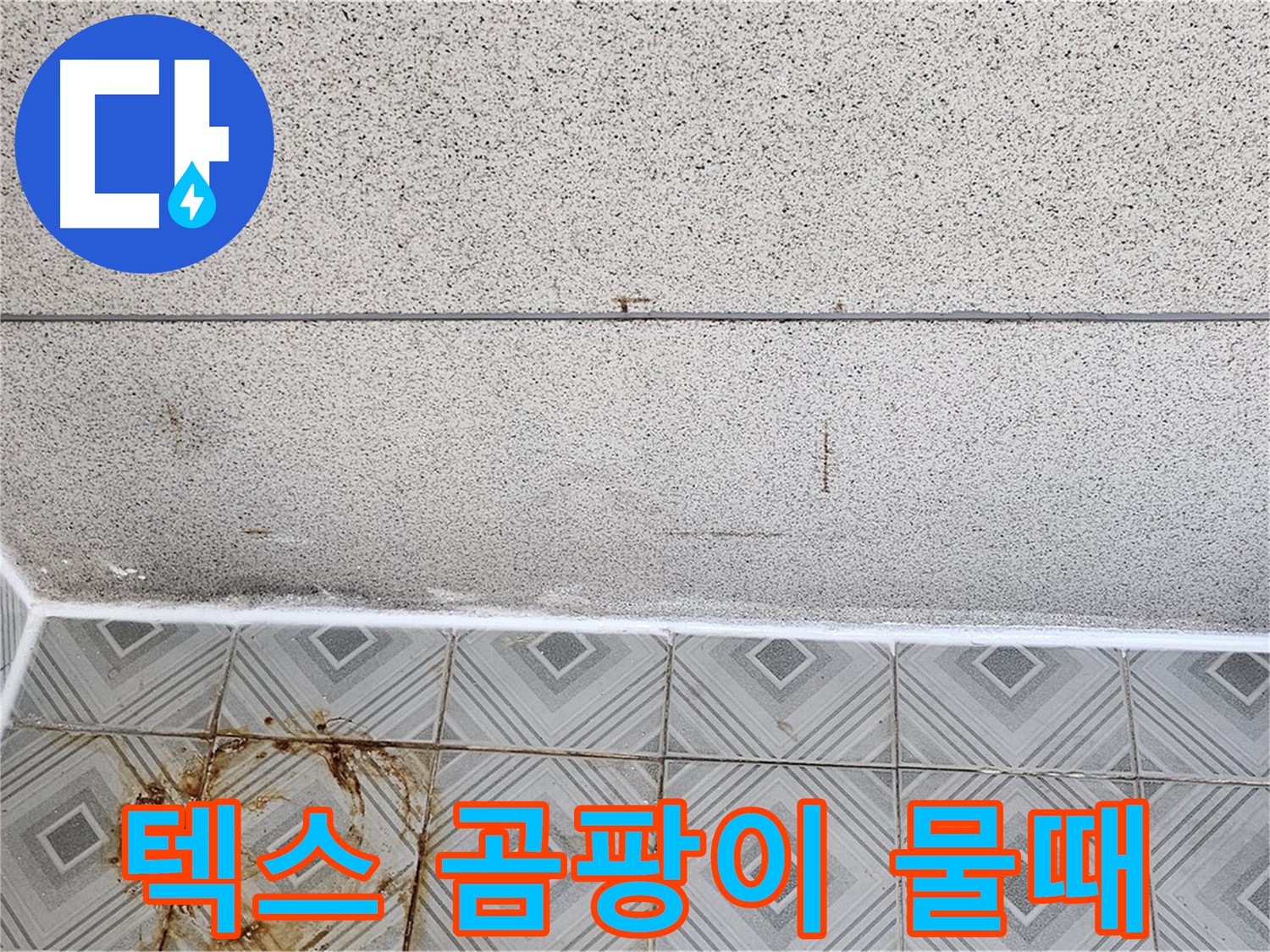 양천구 텍스 곰팡이 - 타일 물때 - 쾌적한 환경 파괴