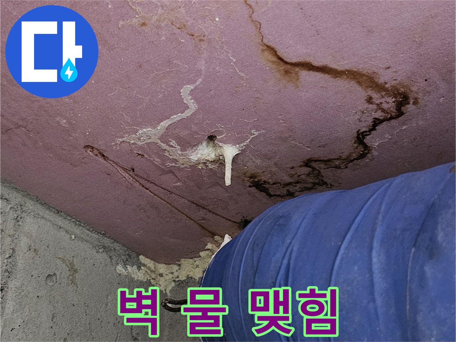 엘리시안 A동 벽 물 맺힘 - 누수 의심